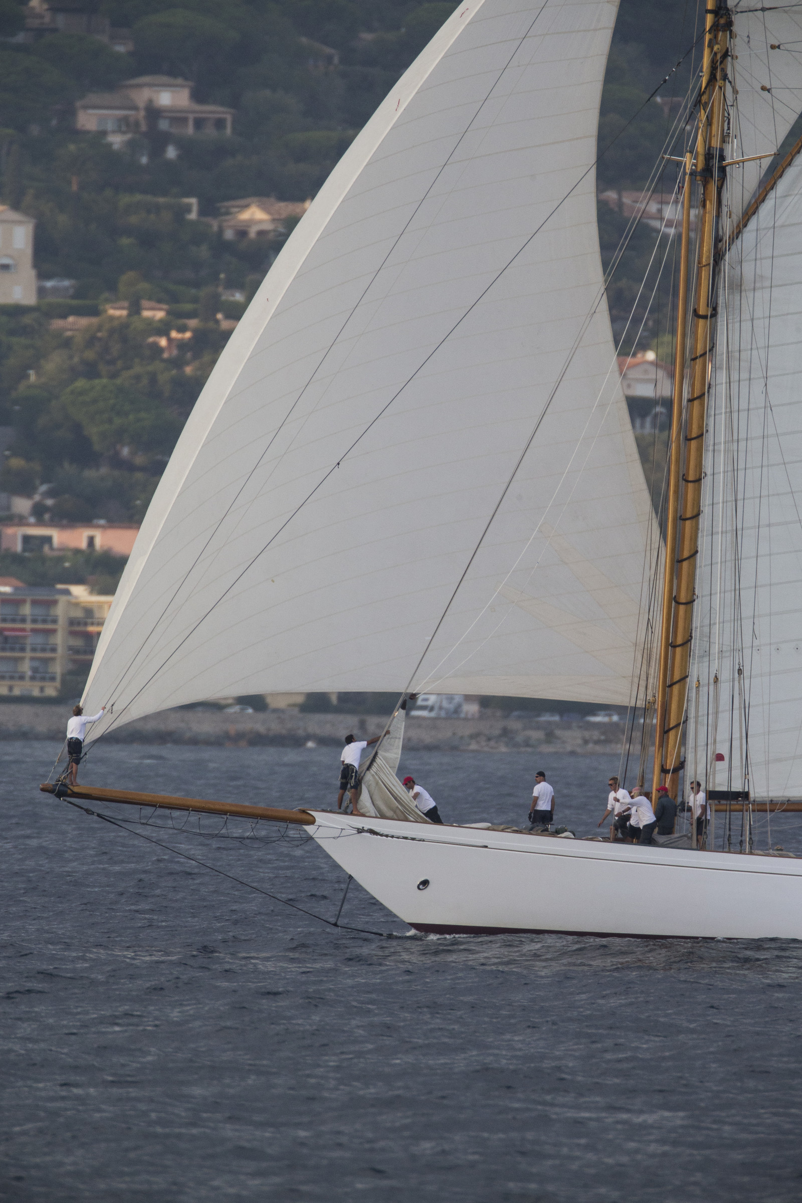 02 10 2014, Saint-Tropez (FRA,83), Voiles de Saint-Tropez 2014, Day 4,