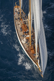 VST19D4B_082.jpg