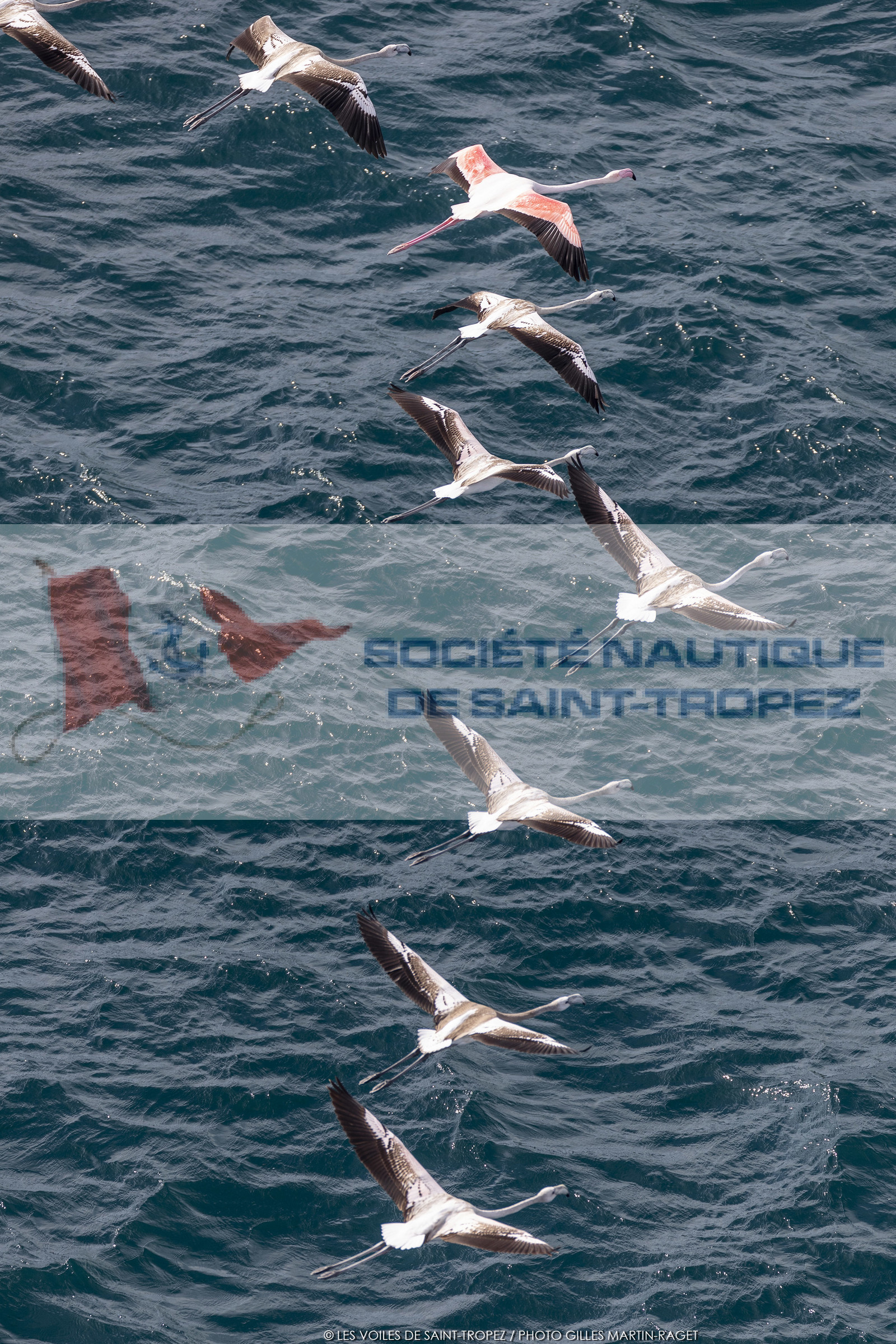 0 10 2020, Saint-Tropez (FRA,83), Les Voiles de Saint-Tropez  2020, Les Voiles Super Series, Race Day1 0 10 2020, Saint-Tropez (FRA,83), Les Voiles de Saint-Tropez  2020, Les Voiles Super Series, Race Day1