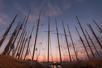 vst2011d1_3832.jpg