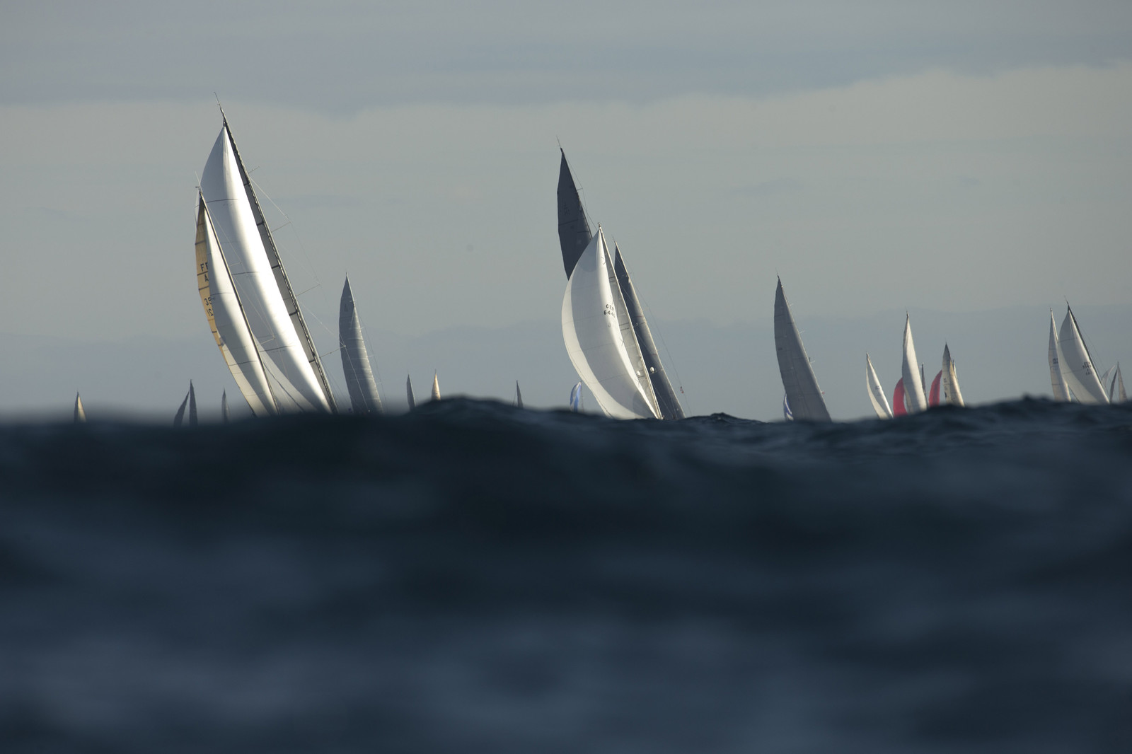 GMR_VST013D6_2650.jpg