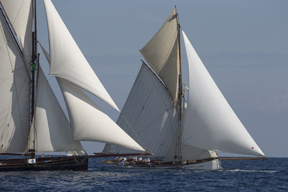 01 10 2014, Saint-Tropez (FRA,83), Voiles de Saint-Tropez 2014, Day 3, Marygold et Partridge